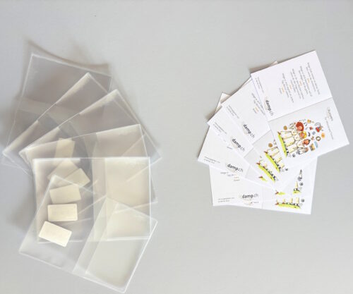 Ausweis Set  (10 Ausweise & 10 Hüllen)